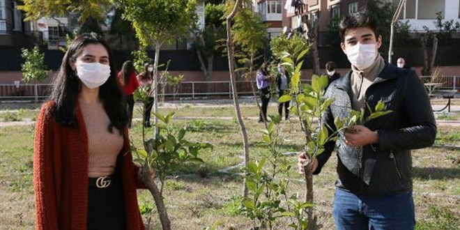 Okul bahçeleri meyve bahçelerine dönüşüyor