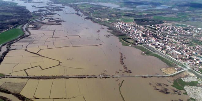 Trakya'da kırmızı alarm! Etkili yağışlar sonrası 'zehir' taştı