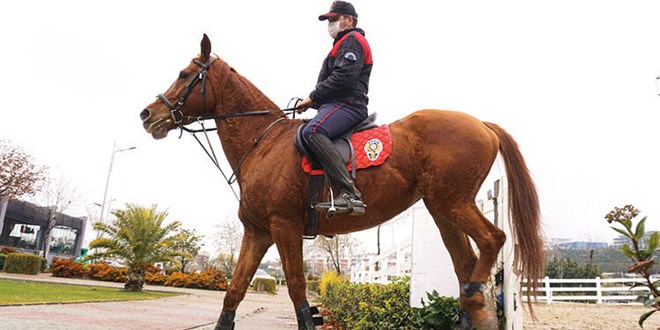 Endamlar yetiyor! evik kuvvetin 1.80'lik heybetli atlar