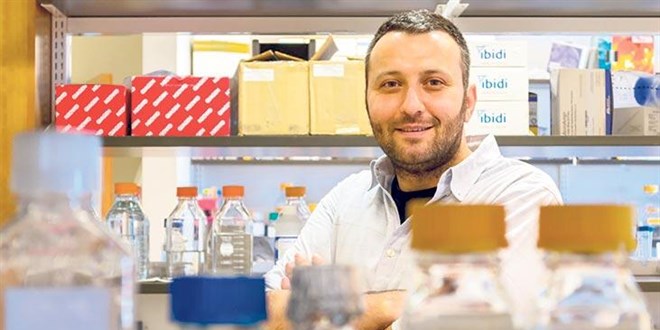 Türk bilim adamı, karaciğerin şifresini çözecek