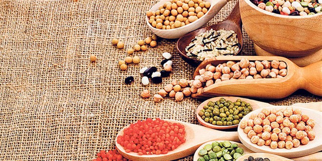 Bakliyatta artan üretim fiyatı koruyacak