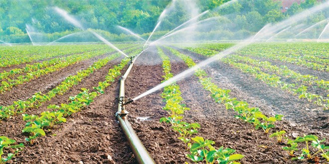 Yeni doğalgaz müjdesi Selçuklu-1'den gelebilir