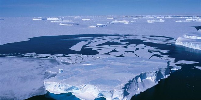 Antarktika'da gne nn ulamad noktada deniz canllarn yaad kefedildi