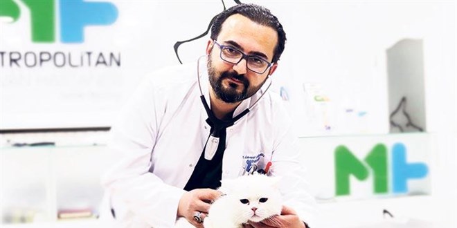 Koronavirüs kedi köpekte yıllardır var
