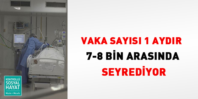 Vaka sayısı 7 bin bandında seyrediyor