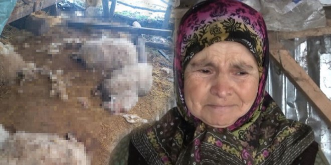 Köyde korkunç olay! 'Haftada bir acıkıyorlarmış'
