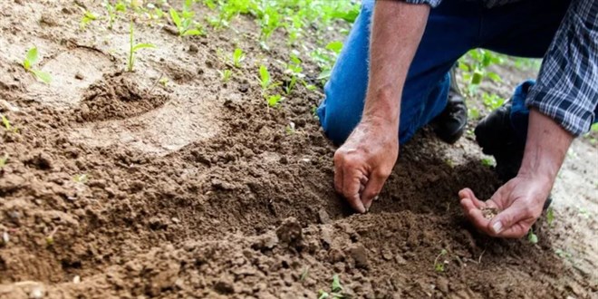Sigortalı çiftçi sayısı son 10 yılda yüzde 50 geriledi