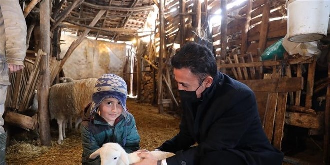 6 büyükbaş hayvanla başladı, sayıyı 5'e katladı