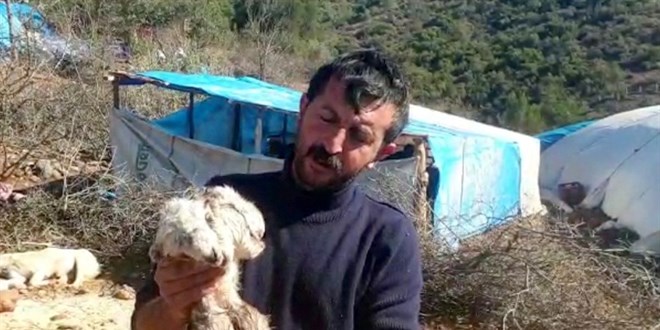 Çift başlı doğan oğlak görenleri şaşkına çevirdi
