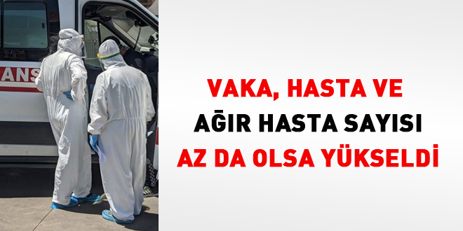 Vaka, hasta ve ağır hasta sayısı az da olsa yükseldi