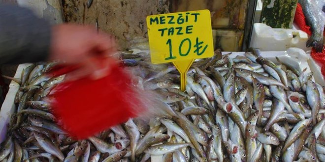 Mezgit 10 TL'lik fiyatıyla tezgahların fenomeni