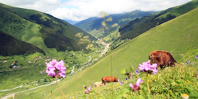 Karadeniz turizmine pandemi sonrası 'Yeşil Yol' dopingi