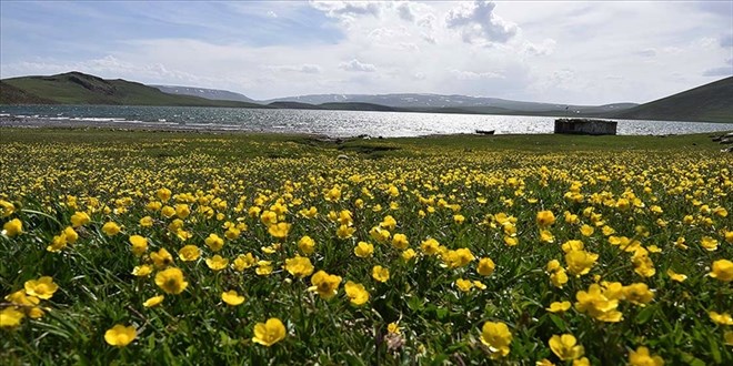 Nevruz'un habercisi son cemre bugün toprağa düşüyor