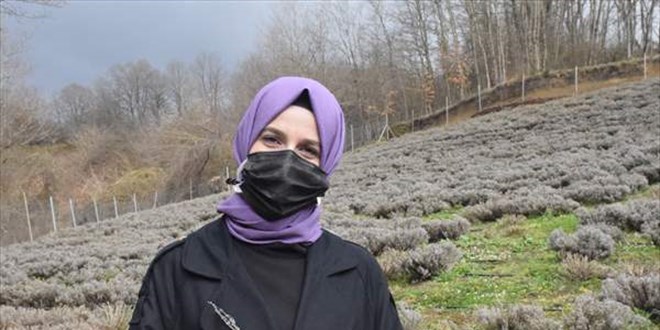 Atıl araziyi lavanta bahçesine dönüştürüp kendi markasını oluşturdu