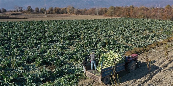 Tarlada ve halde kalan ürün dijital ortamda pazarlanacak