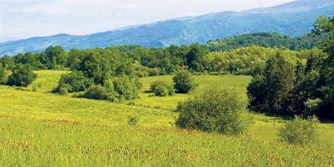 Tarla satışları konutu sollar mı?