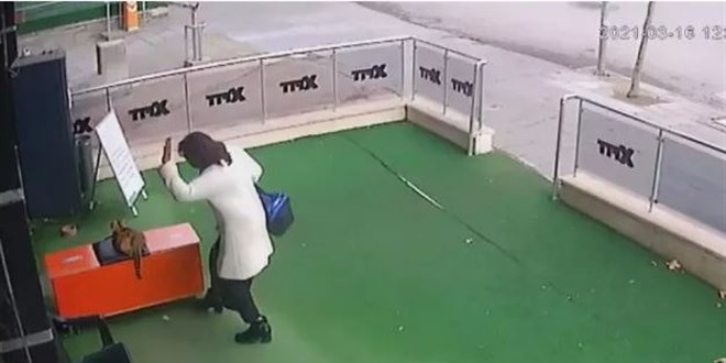 Gebe kediye şiddet uygulayan kadına para cezası