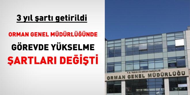 Orman Genel Müdürlüğünde görevde yükselme şartları değişti