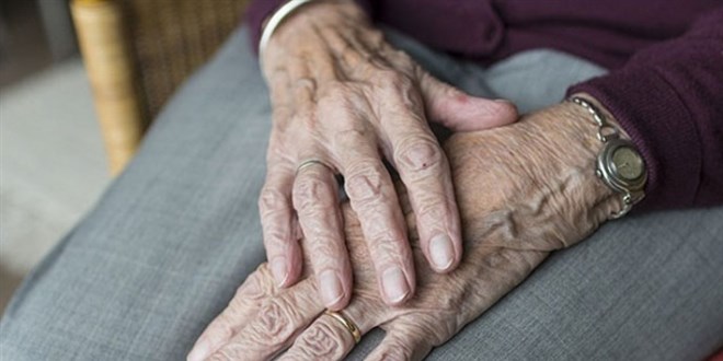 Türkiye'de yaşlı nüfus 10 yılda yüzde 49,3 arttı
