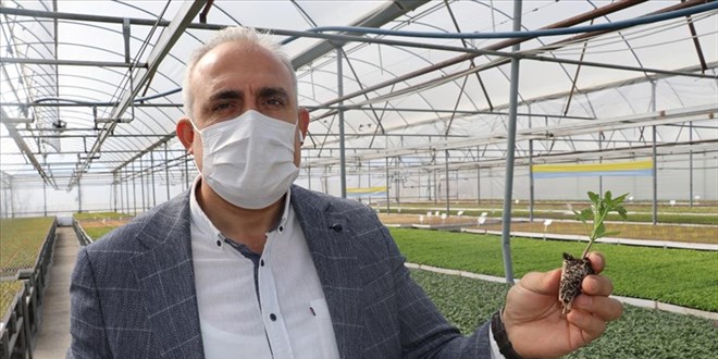Yılda 25 milyon fide üretilen tesise devlet desteğiyle kavuştu