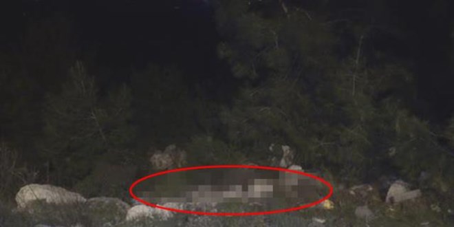 Ormanda kadına ait olduğu tahmin edilen kafatası ve kemik parçaları bulundu