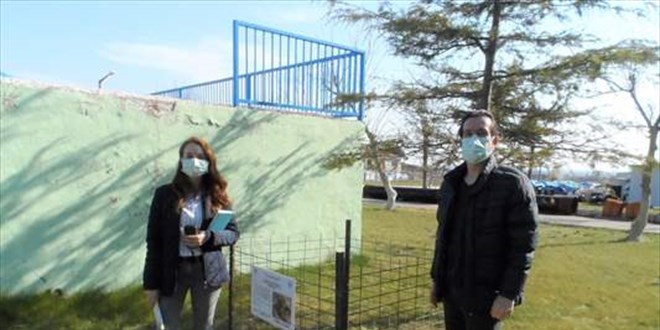 Zararlı böceklerle beslenen 'kırmızı orman karıncaları' koruma altında