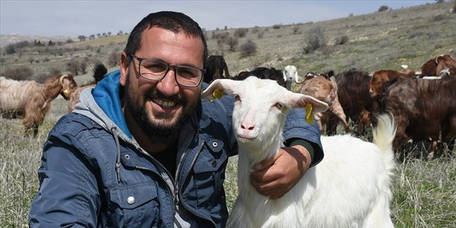 İnşaat şirketini kapatıp keçi çiftliği kurdu