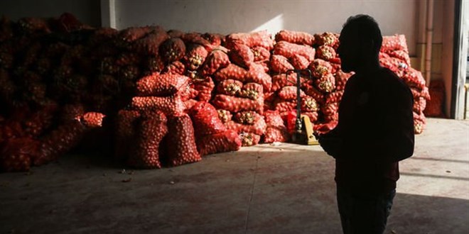 Alıcı yok! Tonlarca soğan, elma, limon depolarda çürüyor