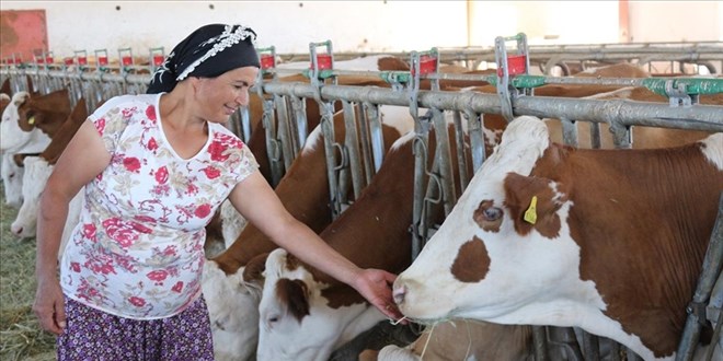Kadın çiftçi, eşinin hibeyle kurduğu tesisi daha da büyüttü