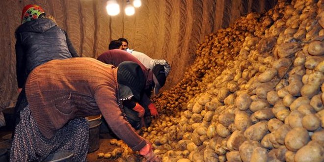 Pakdemirli: Patates ve soğanı çiftçiden alıp, ihtiyaç sahiplerine ücretsiz vereceğiz