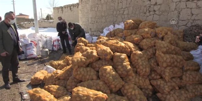 TMO, Nideli reticilerden 4 bin 500 tona yakn patates ald
