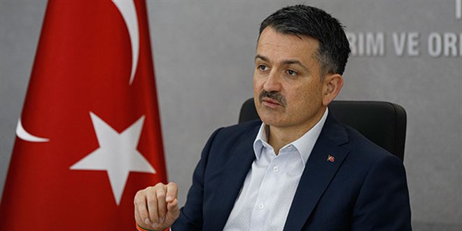 TİGEM'in yarış atları 4 yılda 332 milyon TL ikramiye kazandı
