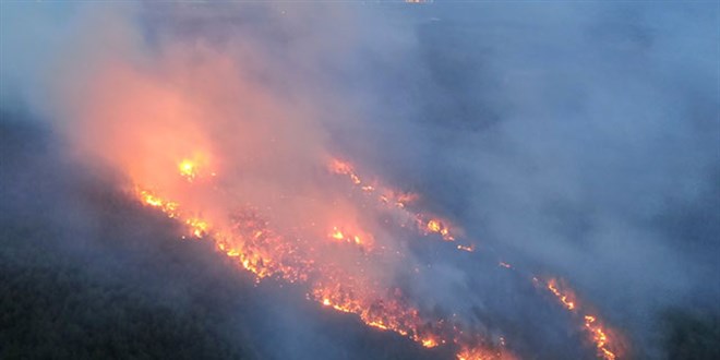Muğla'da, 5'er dakika arayla ormanlık iki alanda yangın