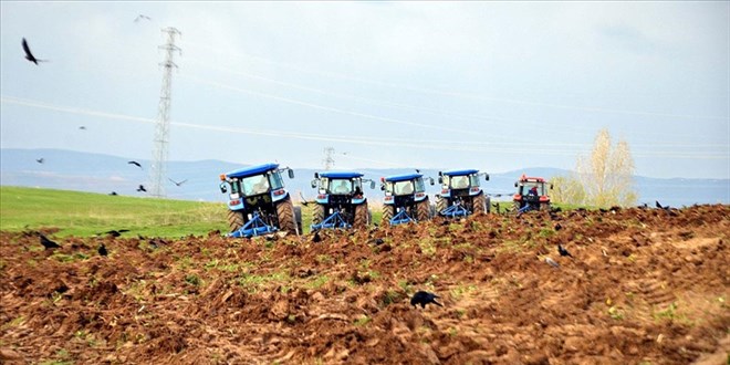 Muş Ovası'nda çiftçilerin ekim mesaisi başladı