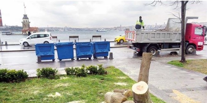 6 ağaç kesen sanıklara 100'er ağaç dikme cezası
