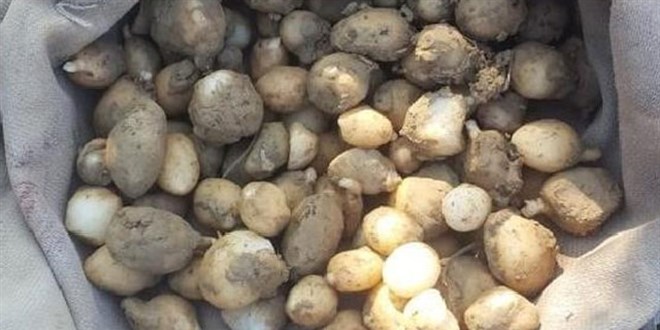 Toplanması yasaktı, suçüstü yakalandılar! 724 bin lira ceza
