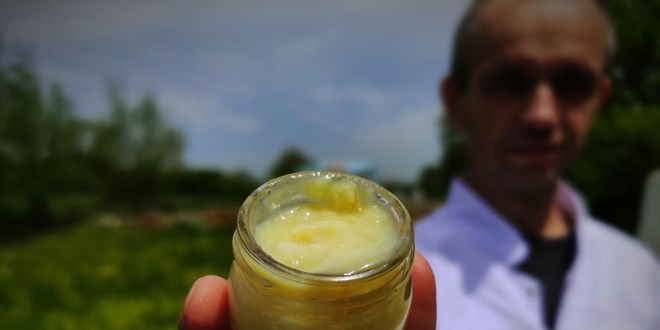 Gram gram sağdığı arı sütünün kilosunu 8 bin liradan satıyor