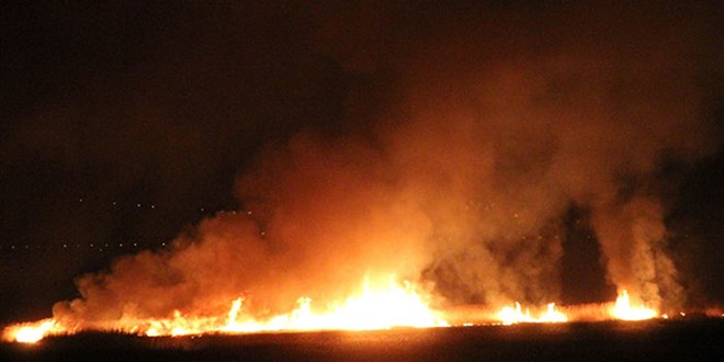 Erzincan'da kuş cenneti alev alev yanıyor