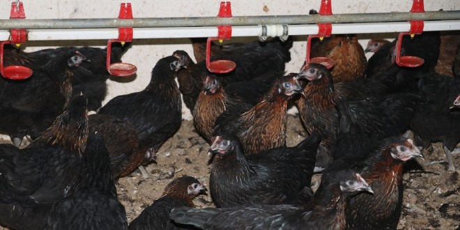 Meslek liseleri pandemide de üretmeye devam ediyor