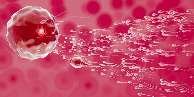 Araştırma: BioNTech - Pfizer aşısı spermlere zarar vermiyor
