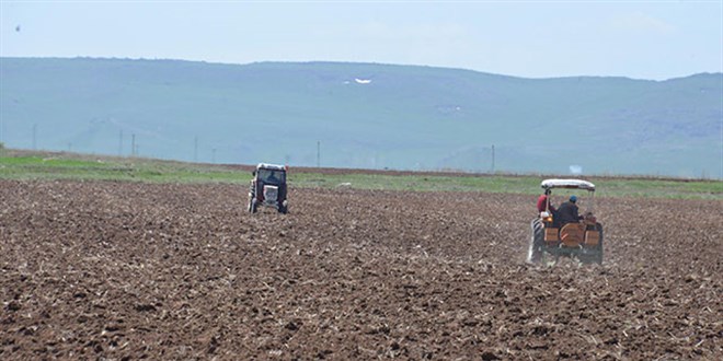 Erzurum tarımında kuraklık endişesi