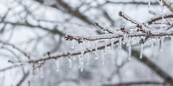 Meteorolojiden 6 il için don uyarısı