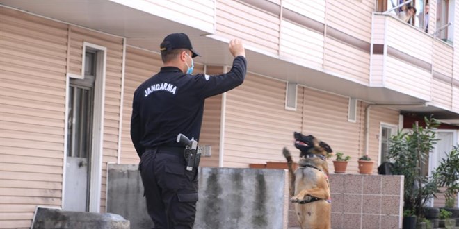 Evde kalanlara, jandarma köpeği sıla moral verdi