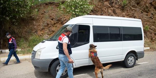 Jandarmanın 'hassas burunları' Tunceli'de terörle mücadelede önemli görev üstleniyor