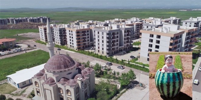 'Karpuz'u bırak sen bunlara bak!