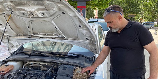 Motor kısmına kuşun yuva yaptığı otomobil kiralıktan çıkarıldı
