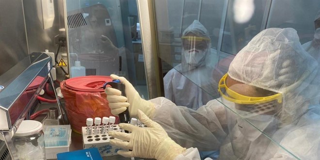 Türkiye ve KKTC'de en çok İngiltere varyantı bulaştı