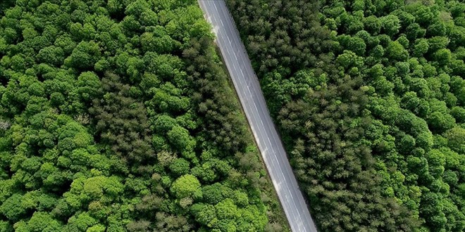 Istranca ormanları ziyaretçilerine görsel şölen sunuyor