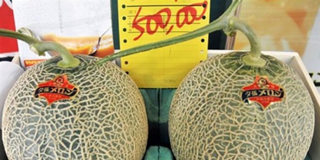 2 kavuna 208 bin lira ödediler