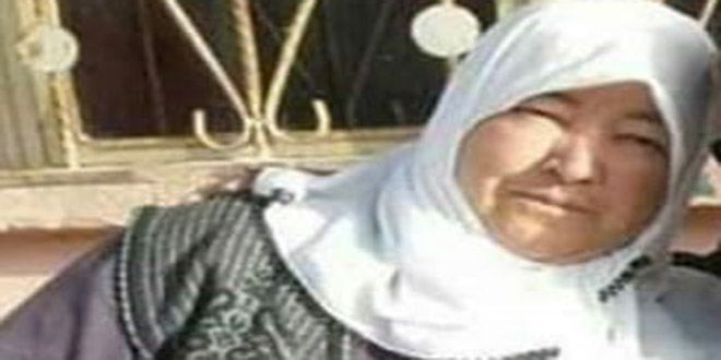 Kenenin neden olduğu ölümlere bir yenisi eklendi